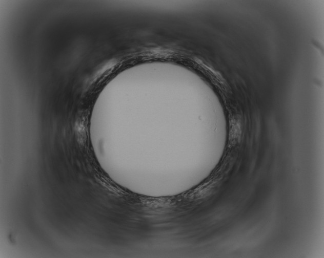 X0000093391254200710111341