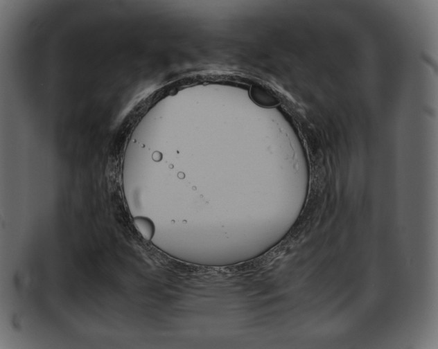 X0000093391255200710111341