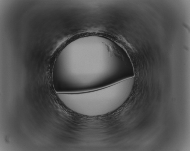 X0000093391256200710111341