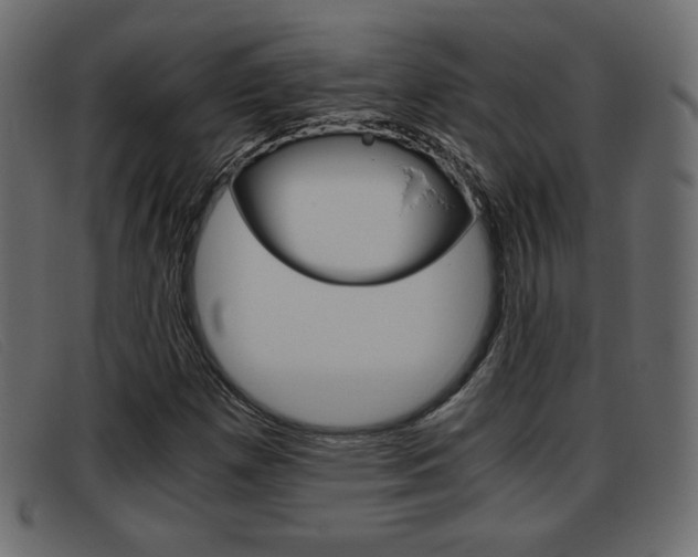 X0000093391257200710111341