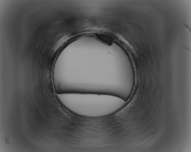 X0000093391259200710111341