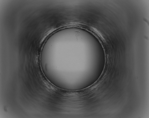 X0000093391260200710111341