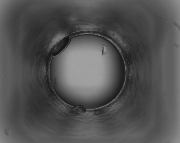 X0000093391261200710111341