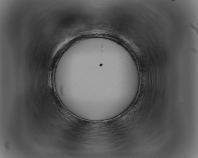 X0000093391262200710111341