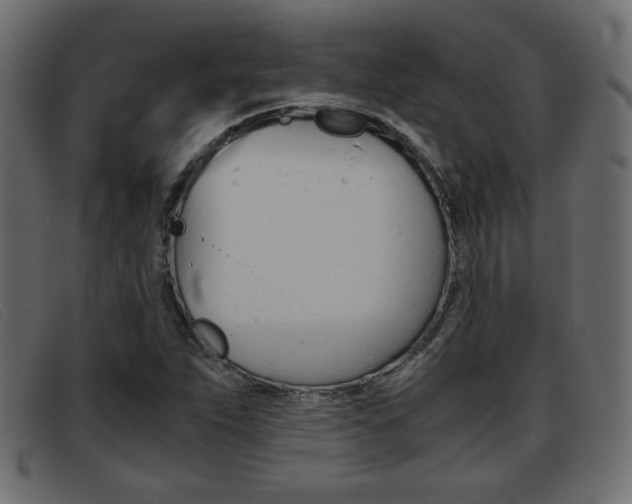 X0000093391263200710111341