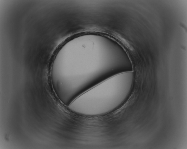 X0000093391264200710111341
