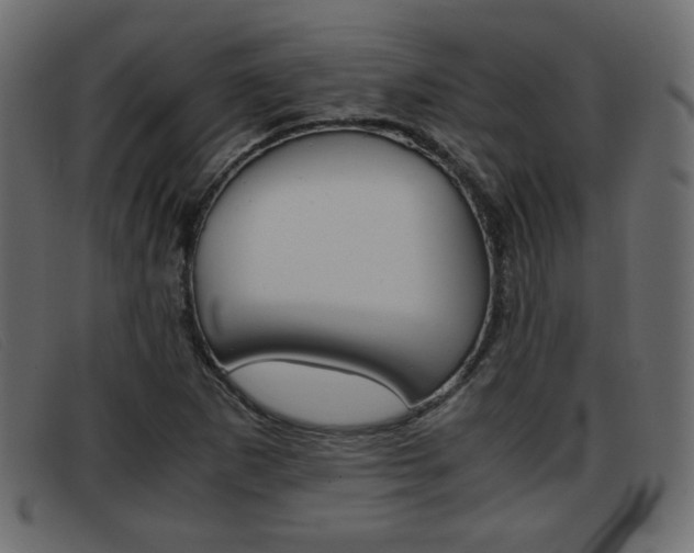 X0000093391265200710111341