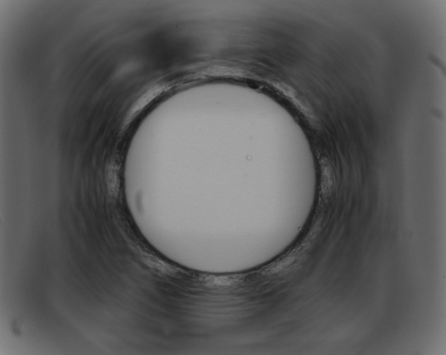 X0000093391266200710111341