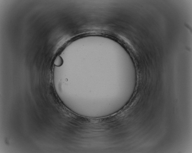 X0000093391267200710111341