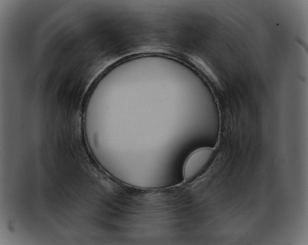 X0000093391268200710111341