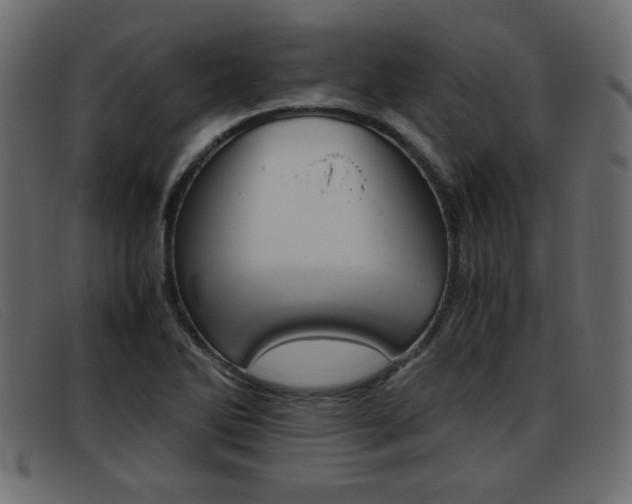 X0000093391270200710111341