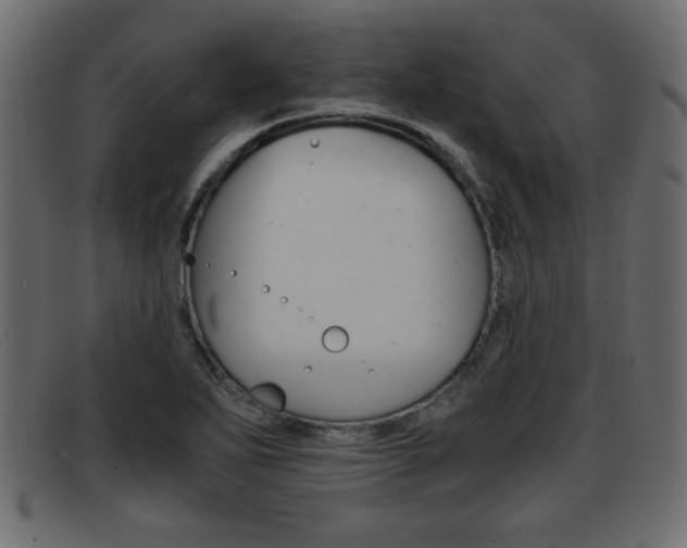 X0000093391271200710111341