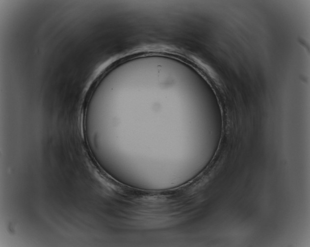 X0000093391272200710111341