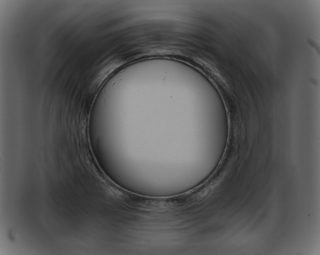 X0000093391273200710111341