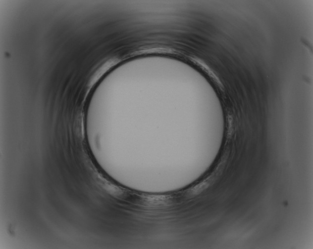 X0000093391274200710111341