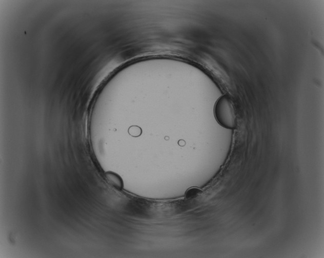 X0000093391275200710111341