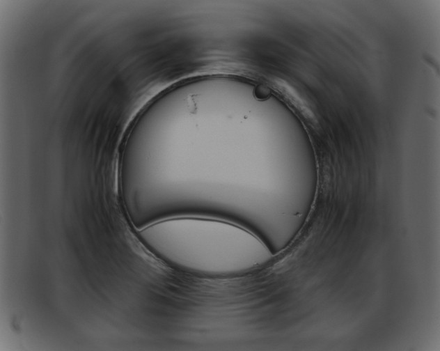 X0000093391276200710111341