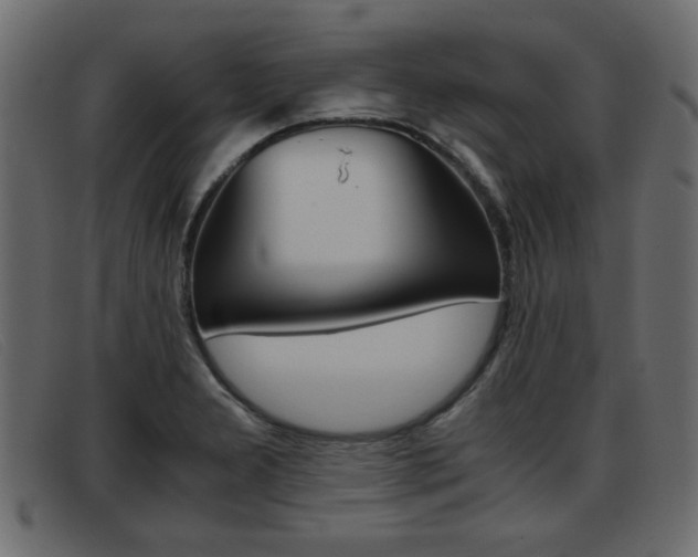 X0000093391277200710111341