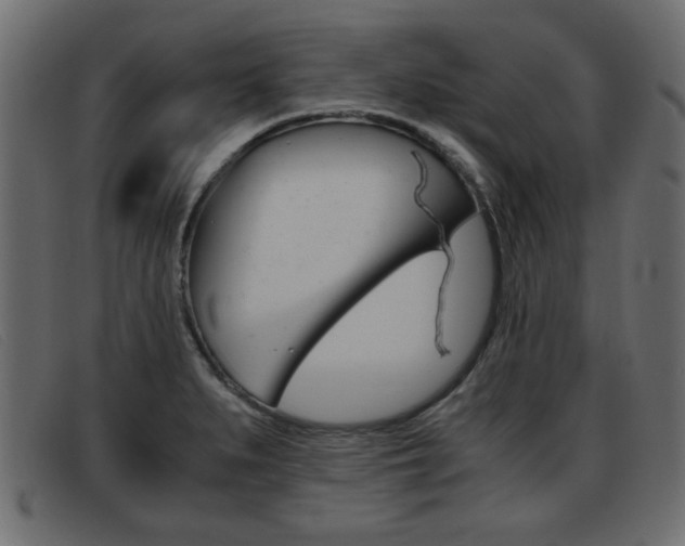 X0000093391279200710111341