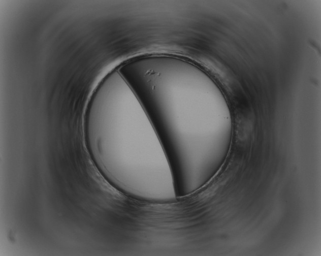 X0000093391280200710111341