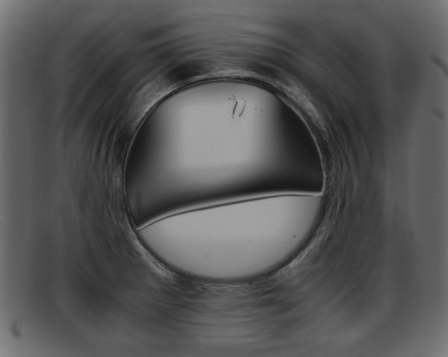 X0000093391281200710111341