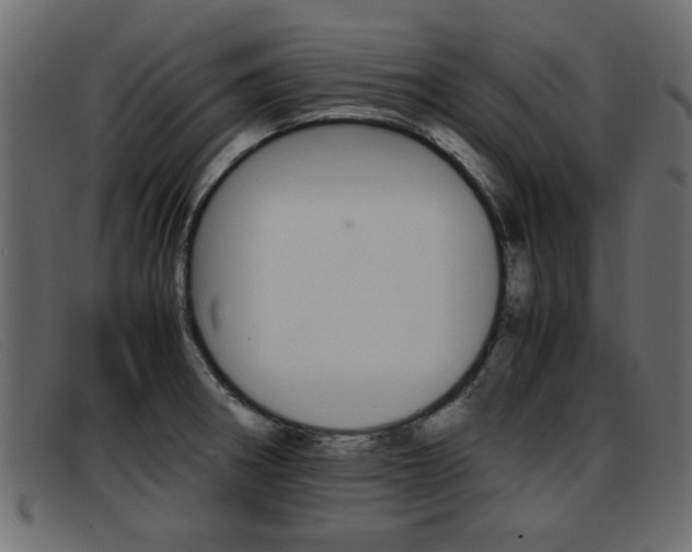 X0000093391282200710111341