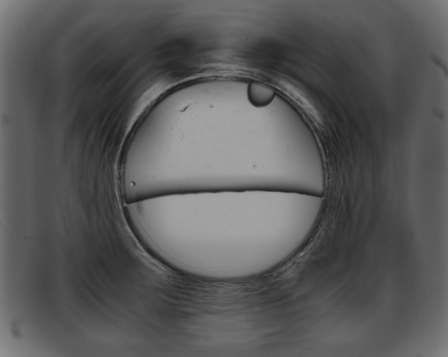 X0000093391283200710111341