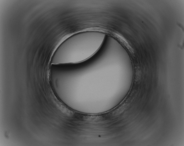 X0000093391284200710111341