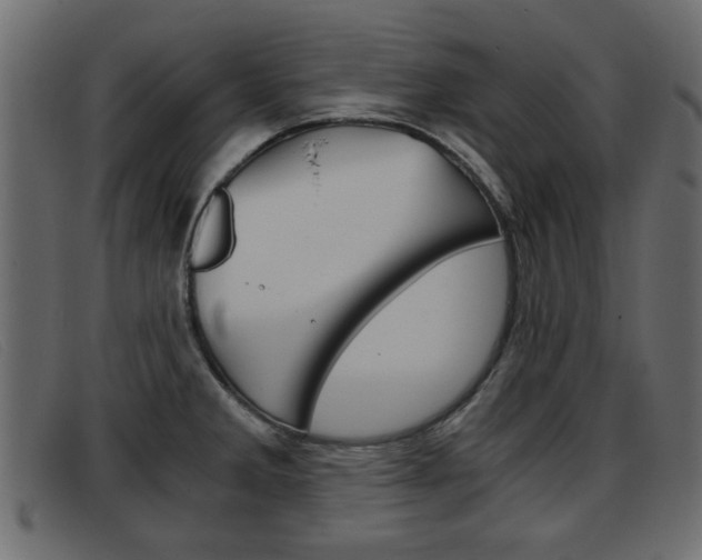 X0000093391285200710111341