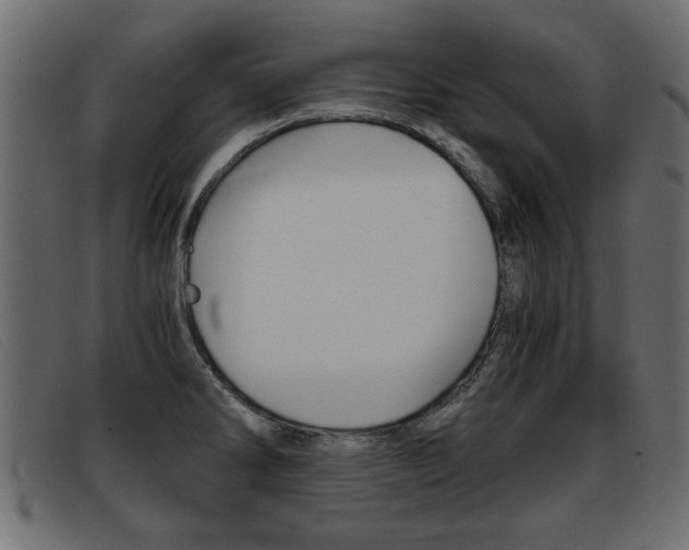 X0000093391286200710111341