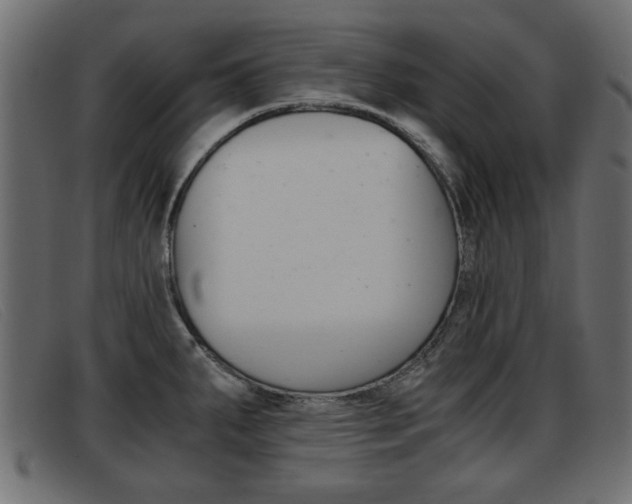 X0000093391287200710111341