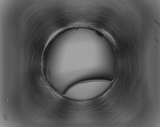 X0000093391288200710111341