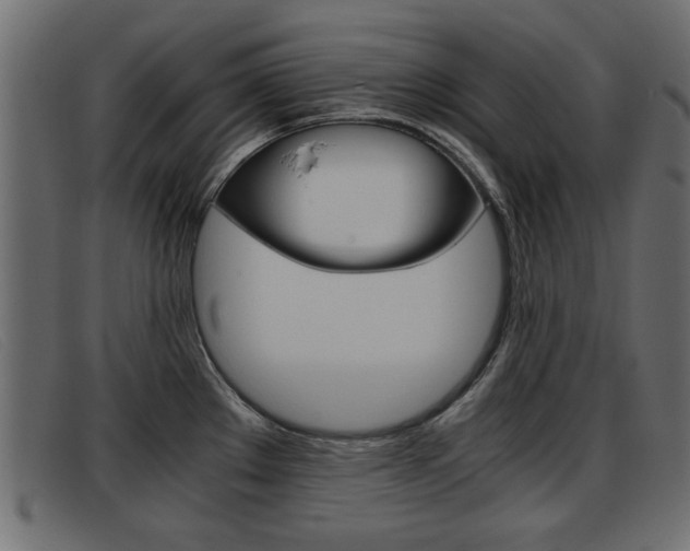 X0000093391289200710111341