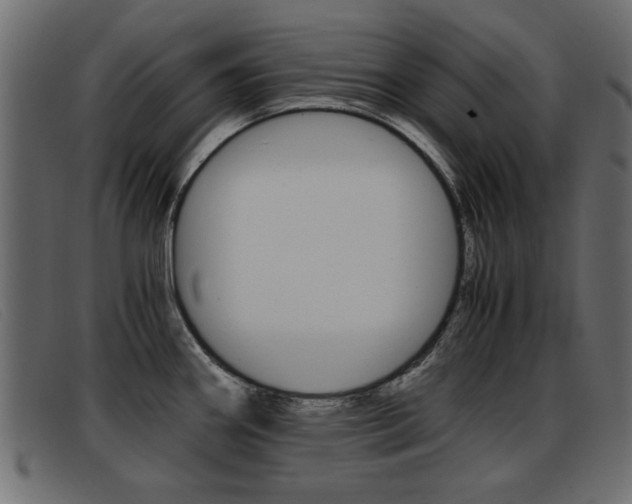 X0000093391290200710111341