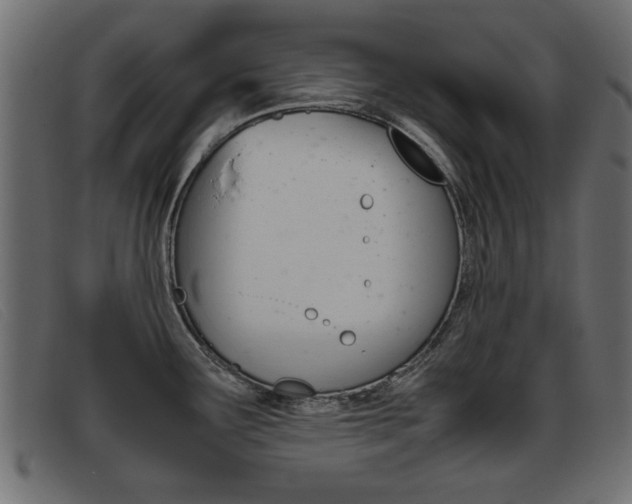 X0000093391291200710111341