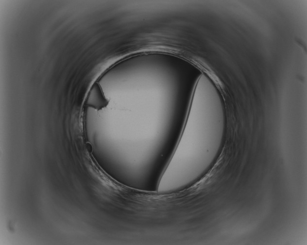X0000093391292200710111341