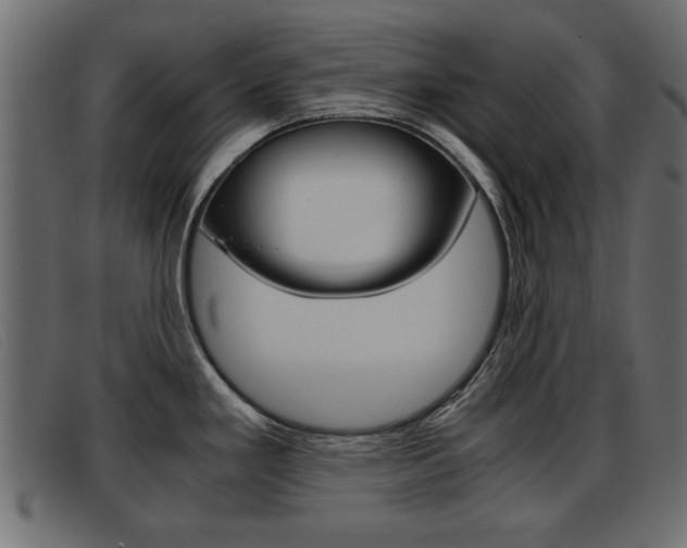 X0000093391293200710111341
