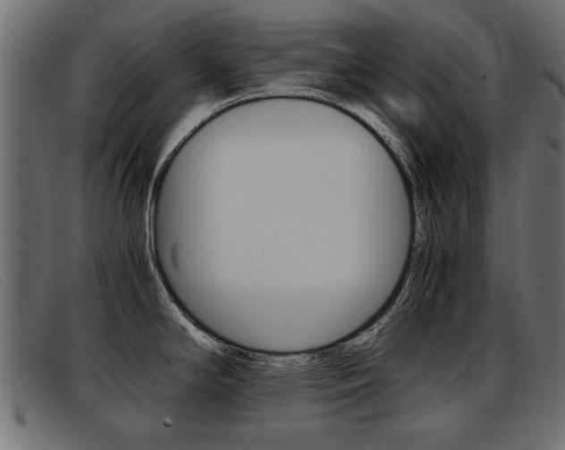 X0000093391294200710111341