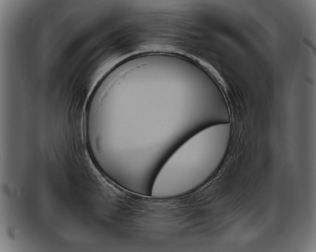 X0000093391295200710111341
