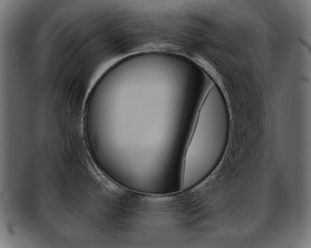 X0000093391296200710111341