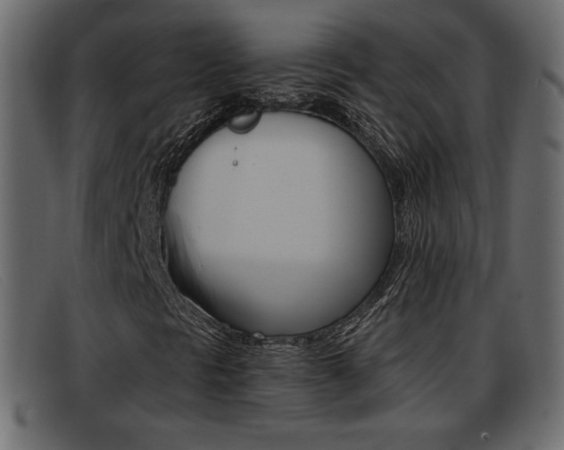 X0000093391297200710111340