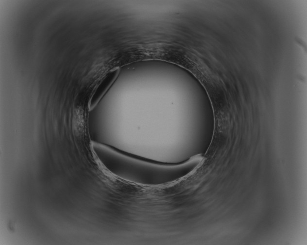 X0000093391298200710111340
