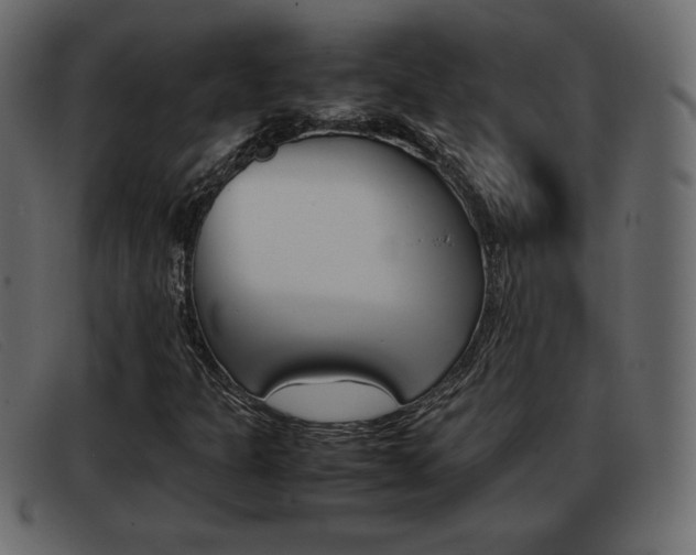 X0000093391301200710111340