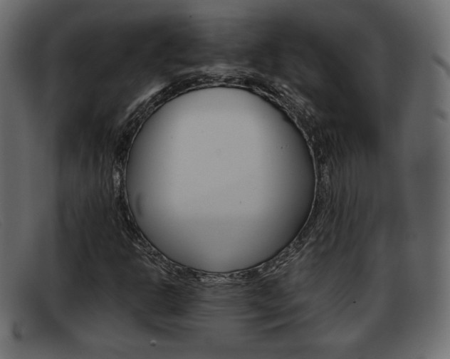 X0000093391302200710111340