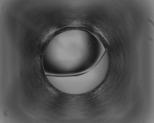 X0000093391304200710111340