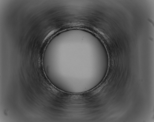 X0000093391306200710111340
