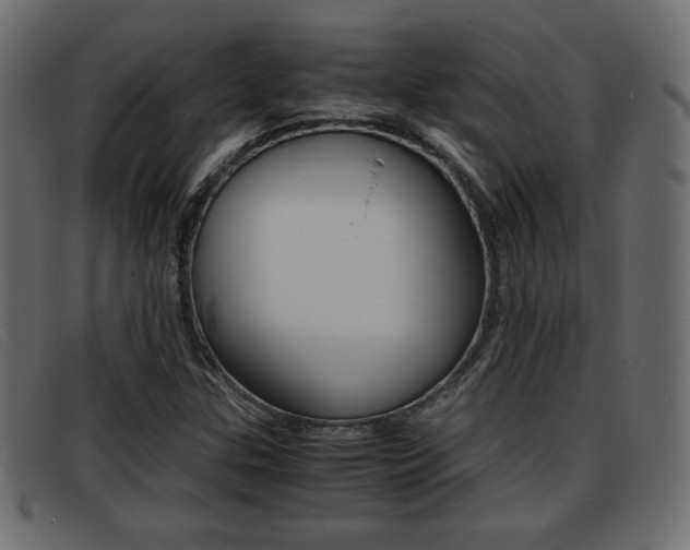 X0000093391307200710111340