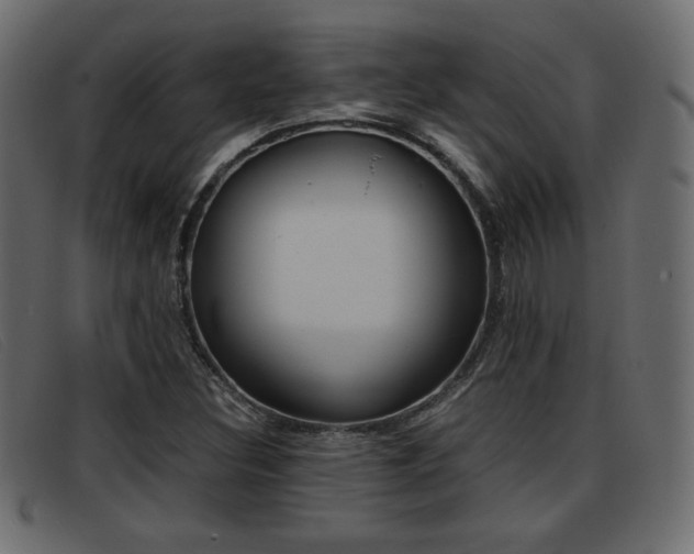 X0000093391308200710111340