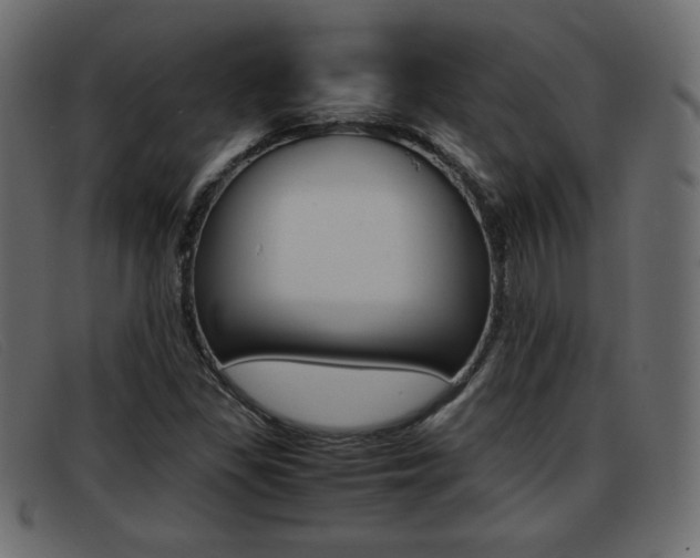X0000093391309200710111340