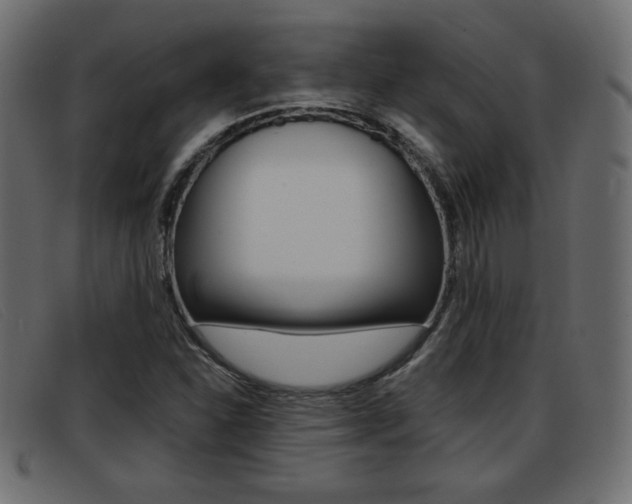 X0000093391310200710111340